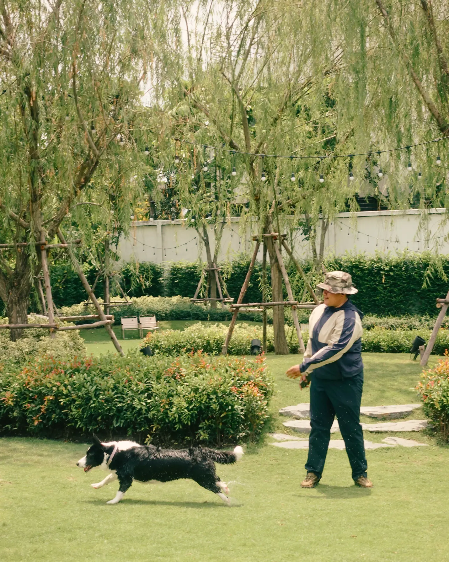 Daycare — dogs and caretaker during the day