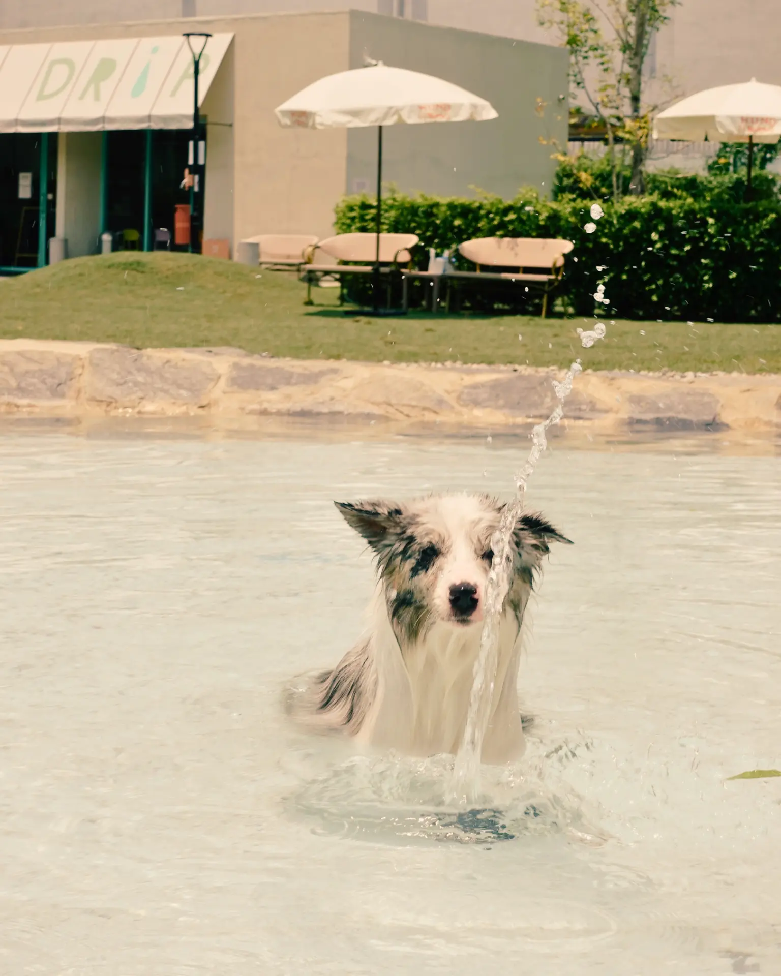 Pool day